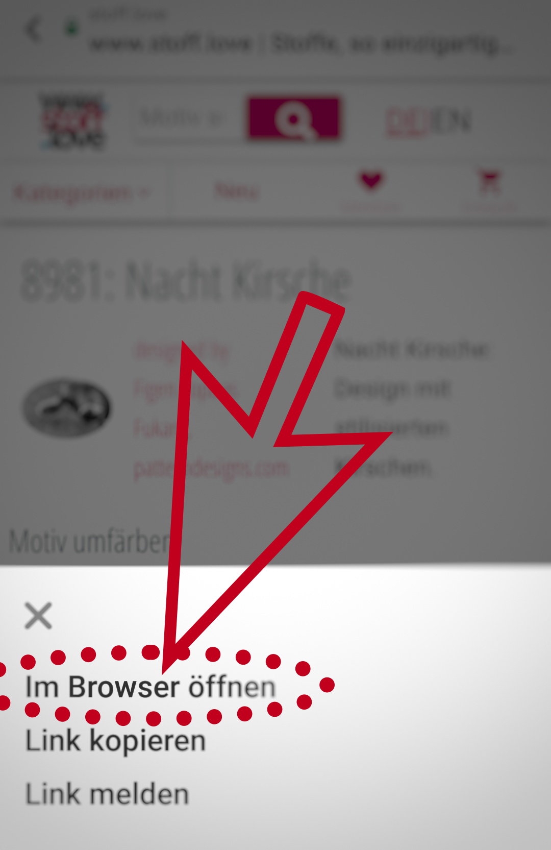 Im Browser öffnen