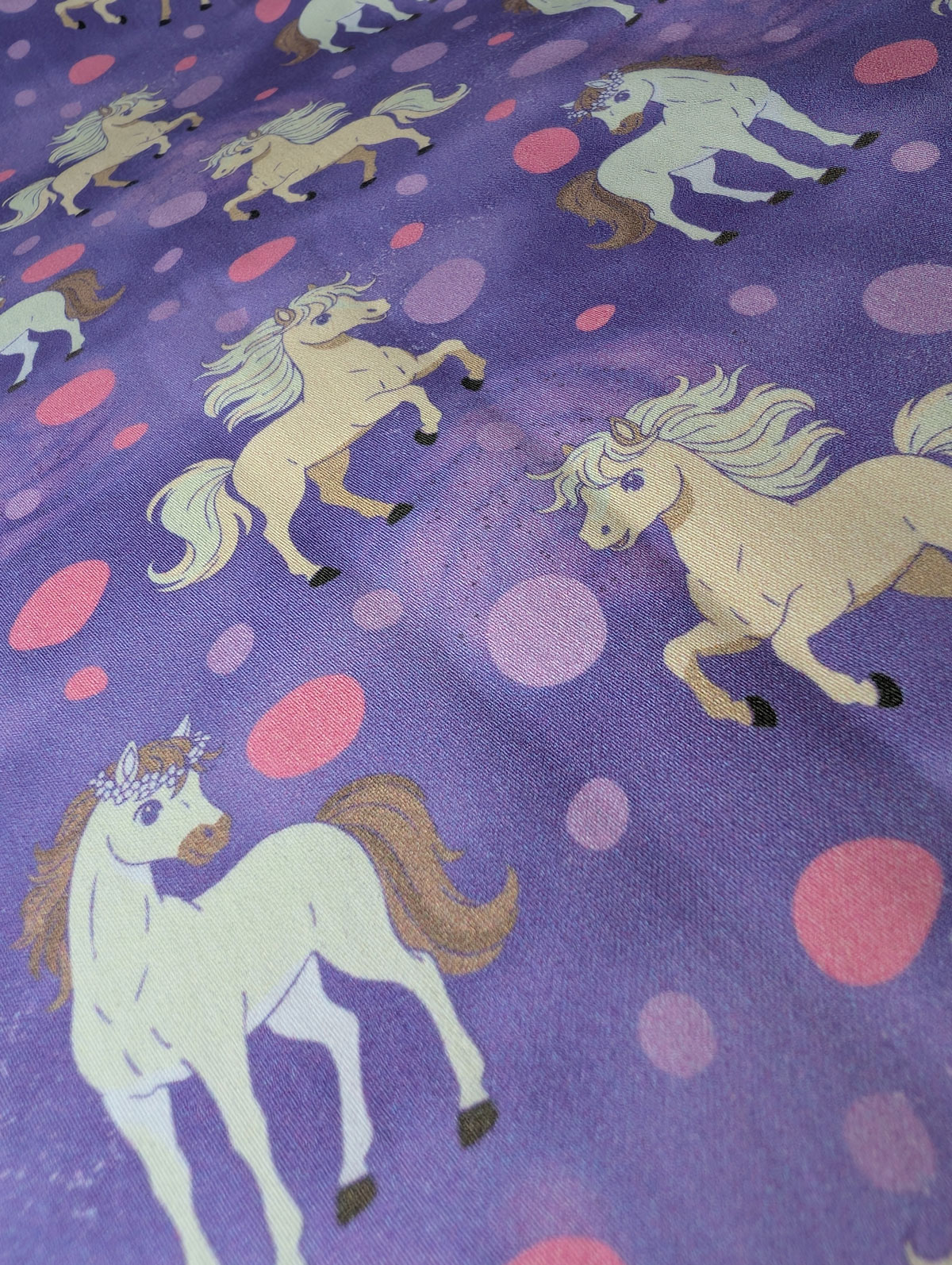 Pippa Pusteblume & Rudi Rappelpony